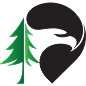 Northland Pines Community Foundation
